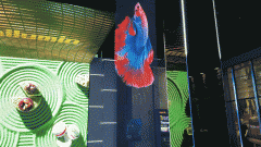 用凸起“对的融入”、也强调“对内容的沉浸感